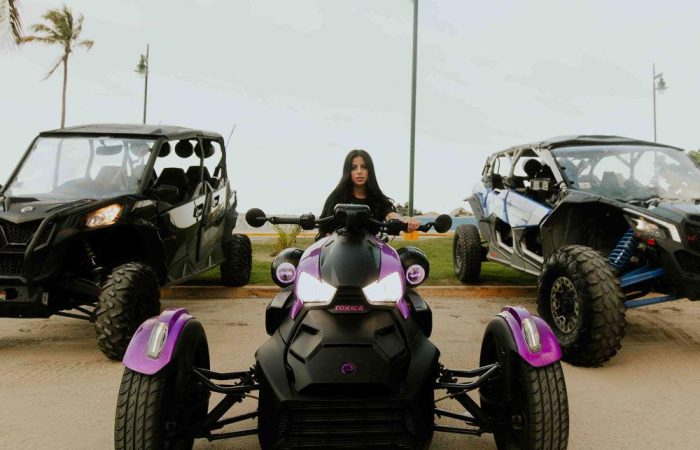Vehículos todoterreno - Twins Motors PR